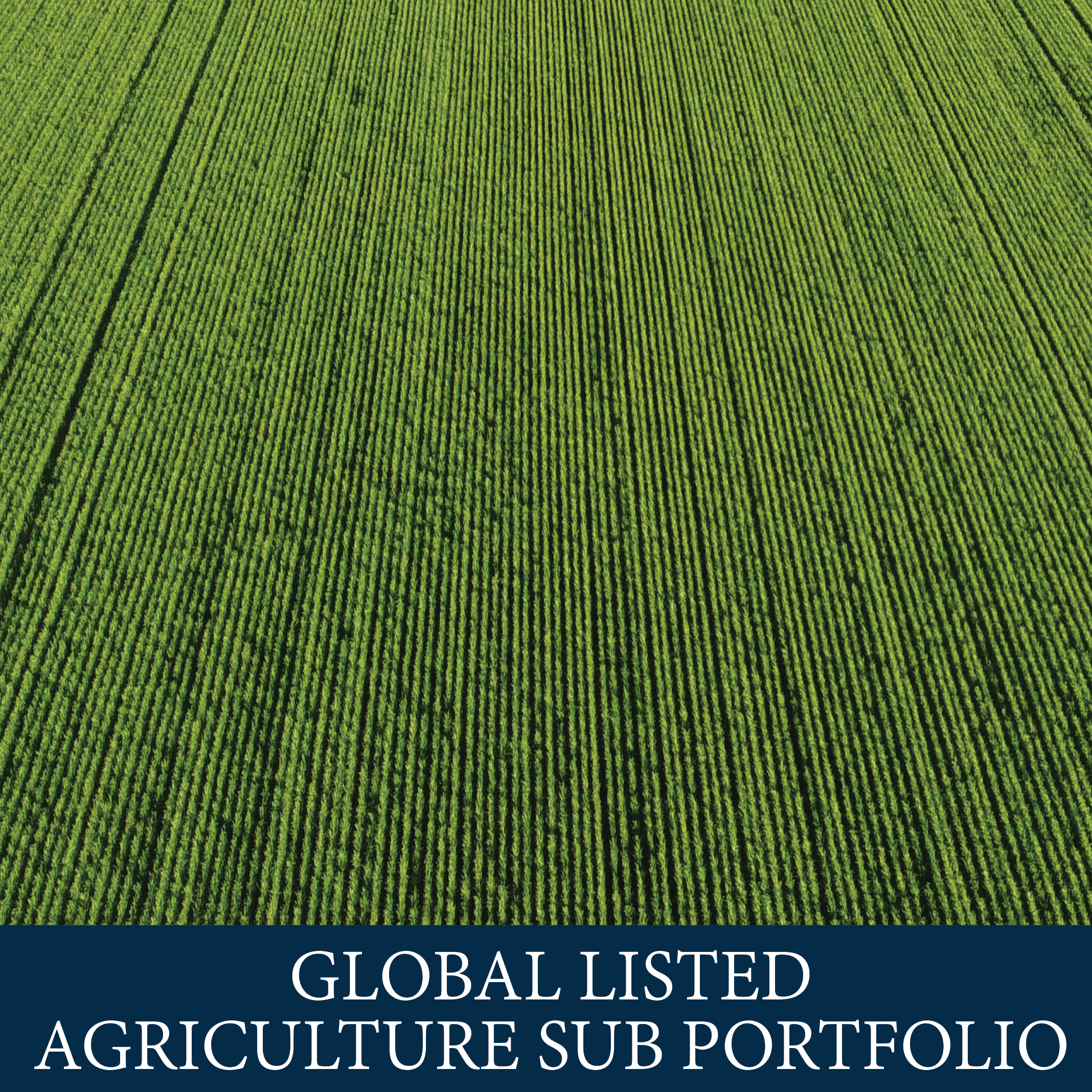 Global Listed Agriculture Sub Portfolio